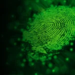 The Difference Between Cyber Security Services and Off-the-Shelf Solutions