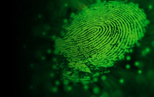 The Difference Between Cyber Security Services and Off-the-Shelf Solutions