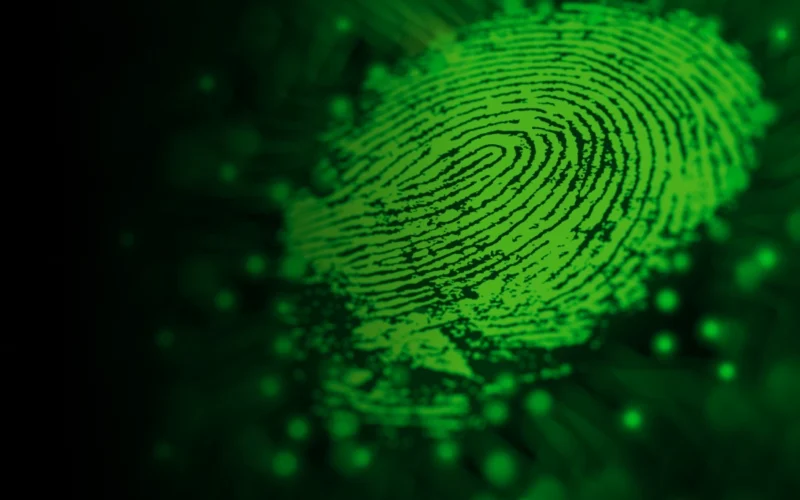 The Difference Between Cyber Security Services and Off-the-Shelf Solutions